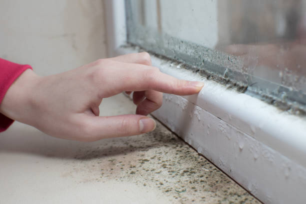 Mold Remediation for Vacation Homes in Sharon, WI