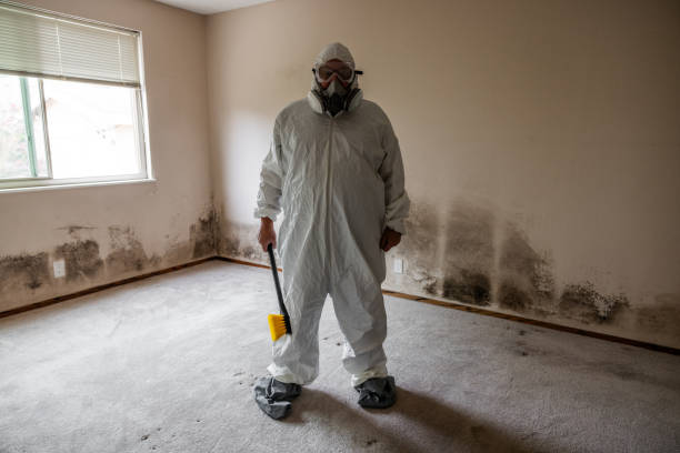 Best Commercial Mold Inspection  in Sharon, WI